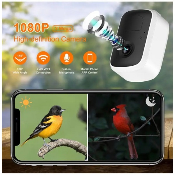 Bird Feeder with Camera with AI Identify Birds Species Solar Panel